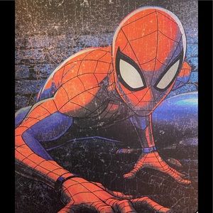 Spider-Man Picture Frame